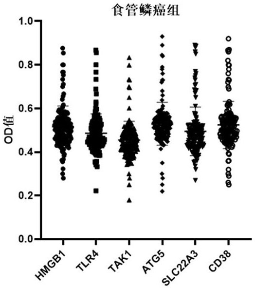 An ELISA kit for early diagnosis of esophageal squamous cell carcinoma