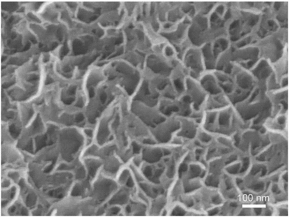 Molybdenum sulfide/carbon composite material and preparation method and application thereof