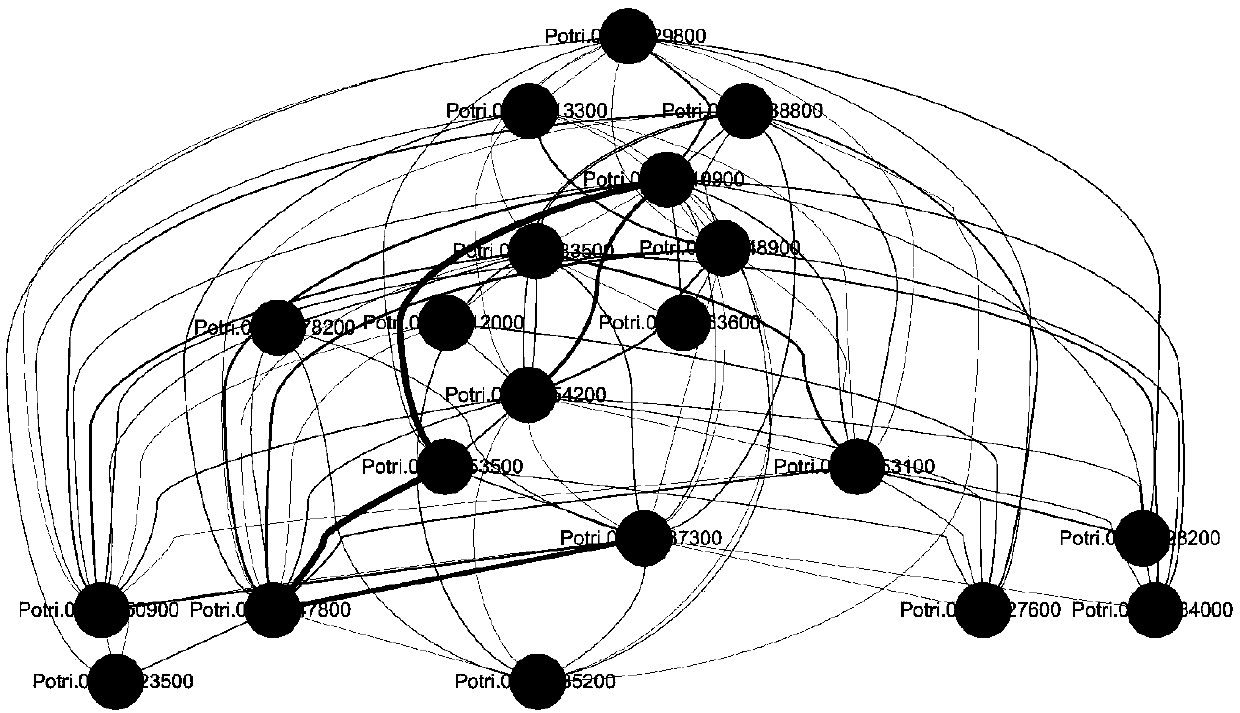 A method for constructing photosynthetic pathway gene regulation network