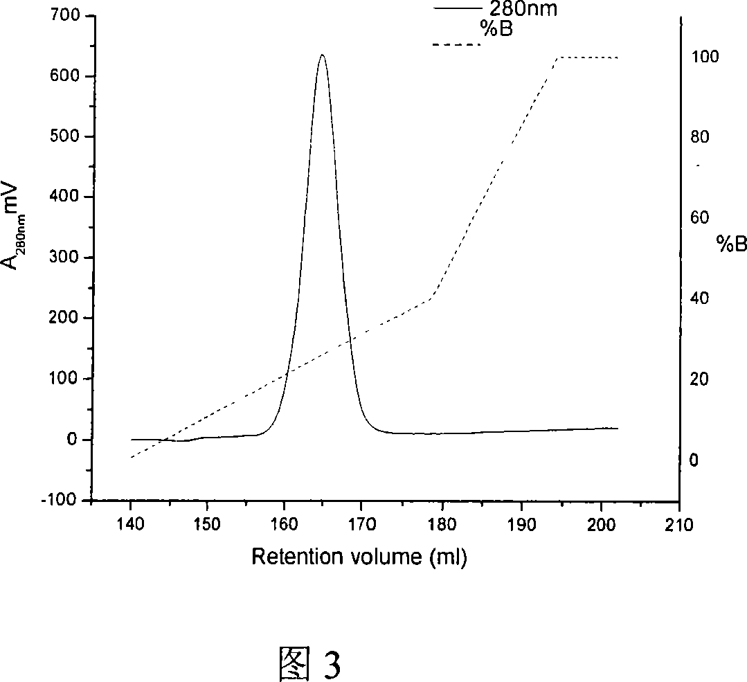 Method for highly efficient renaturation of membrane albumen