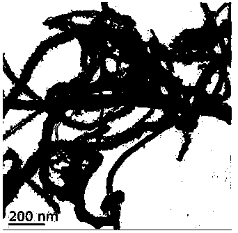 Carbon nanotube/polyaniline composite material with electrochemical anticorrosion effect, preparation method and application