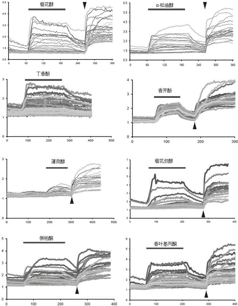 Honeybee body surface parasitic mite control method and mite repellent