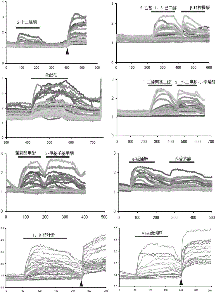 Honeybee body surface parasitic mite control method and mite repellent