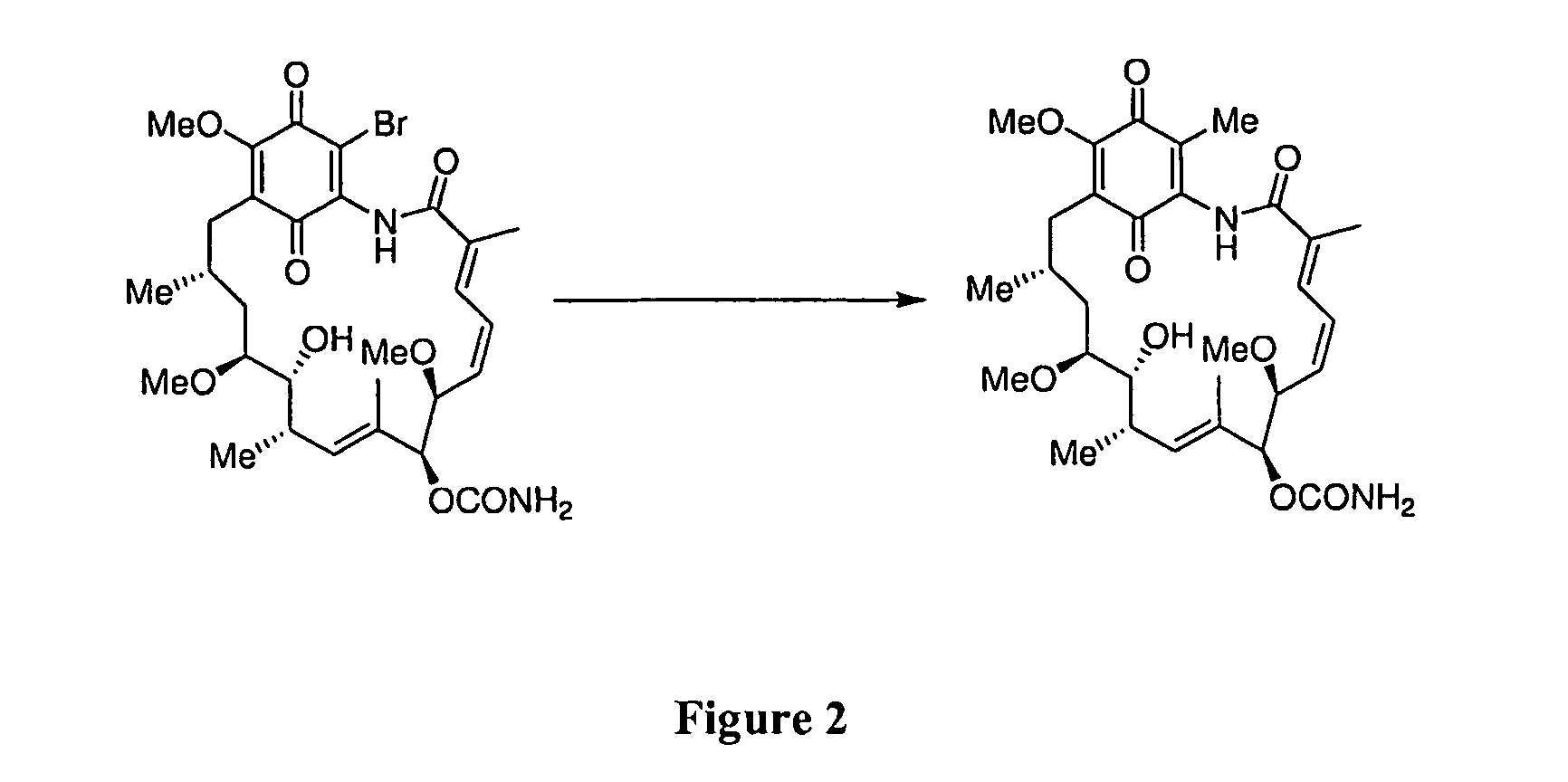 Hsp90 inhibitors with modified toxicity