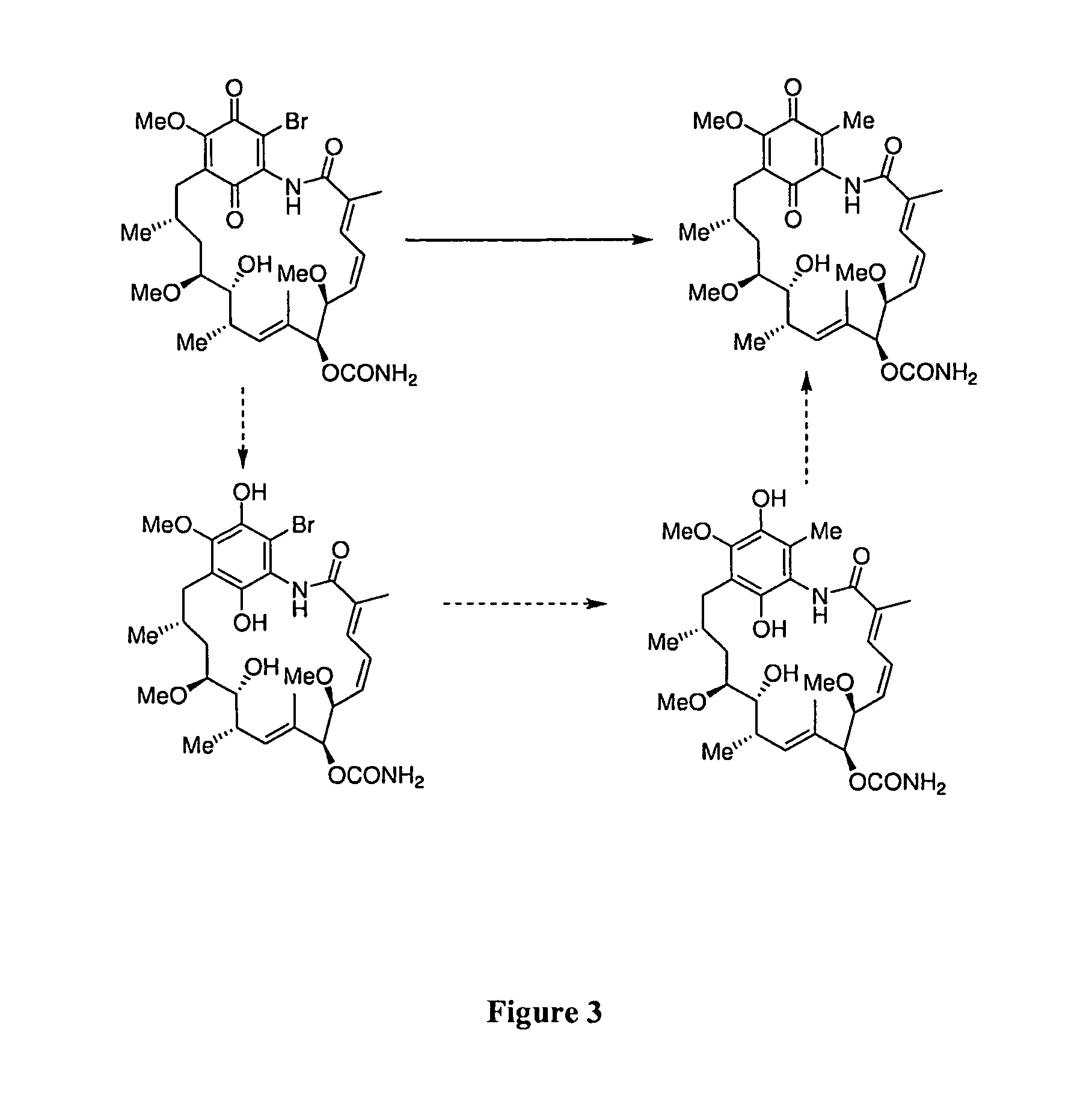 Hsp90 inhibitors with modified toxicity