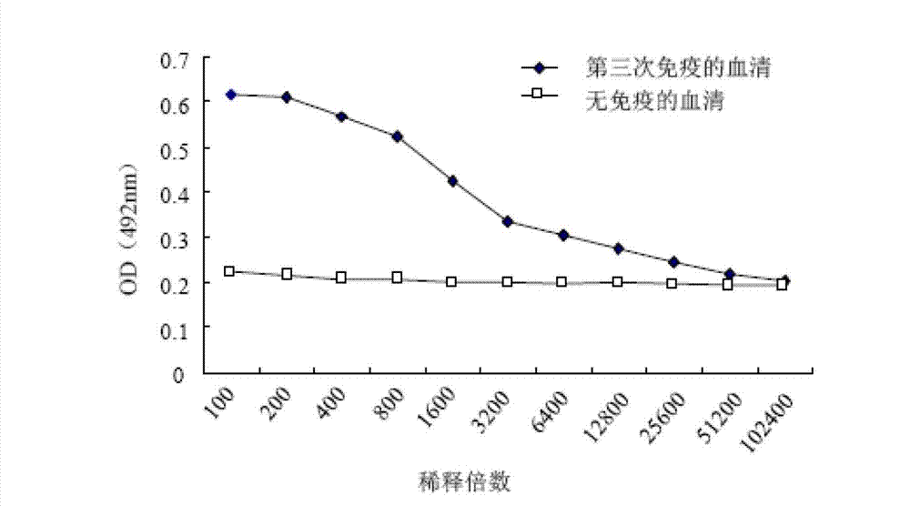 ELISA (enzyme-linked immunosorbent assay) method for quickly testing C-Myc by using monoclonal antibody