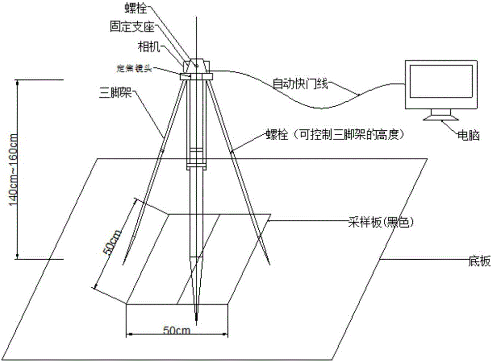 Earth-rock dam construction material grain composition examination method based on digital image processing