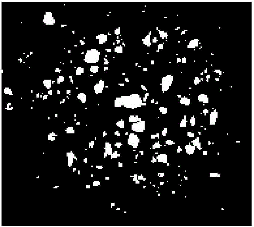 Earth-rock dam construction material grain composition examination method based on digital image processing