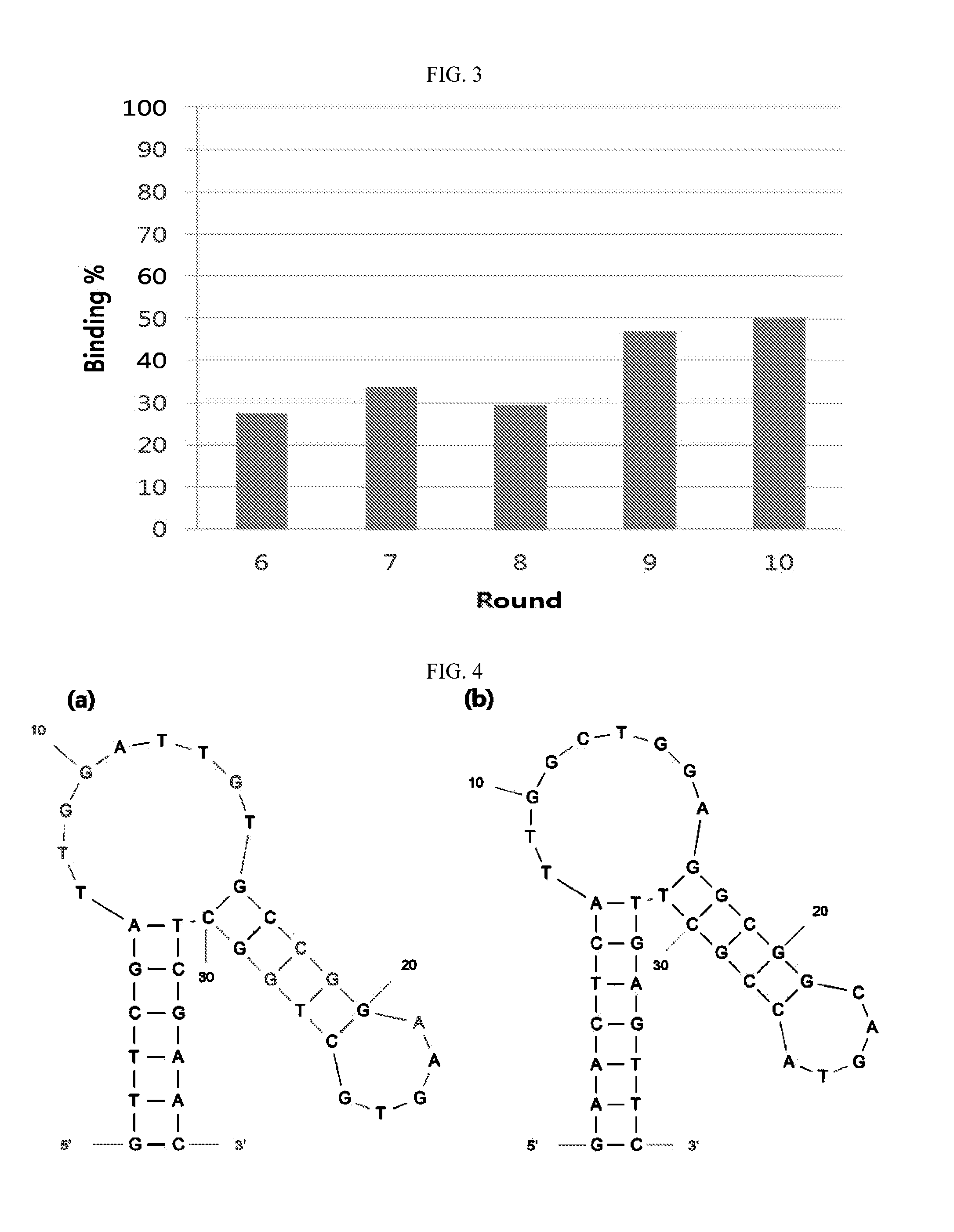 DNA aptamer specifically binding to pLDH (plasmodium lactate dehydrogenase)