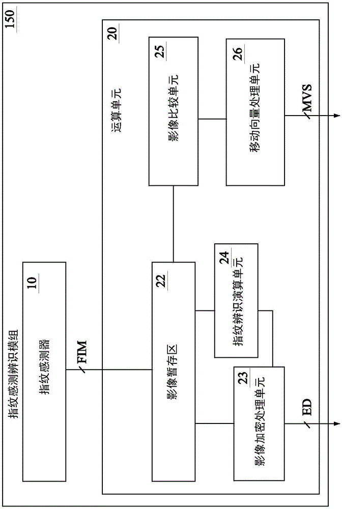 Electronic apparatus having fingerprint sensor operating in vector mode