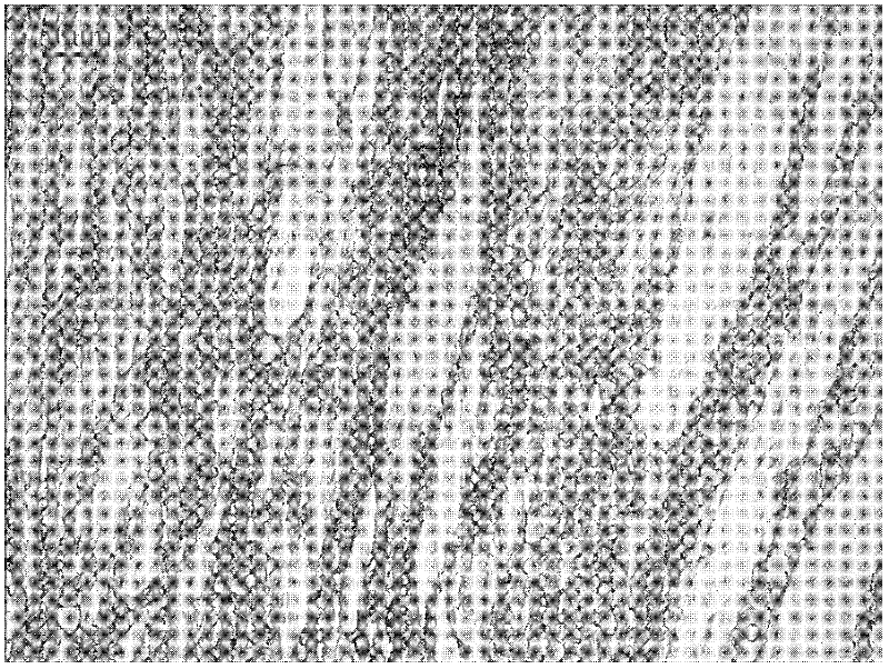 Method for displaying thermal deformation texture of steel used for nuclear power pressure container