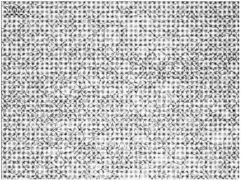 Method for displaying thermal deformation texture of steel used for nuclear power pressure container