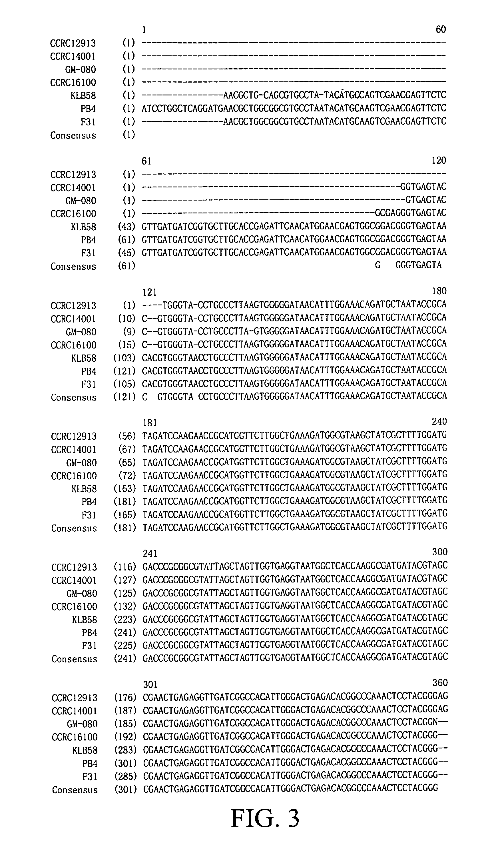 <i>Lactobacillus paracasei </i>strain GM-080 for treating allergy related diseases