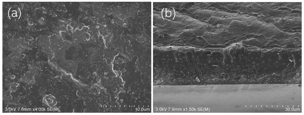 Preparation method of anti-melting nylon sheet based on surface structured flame retardant technology