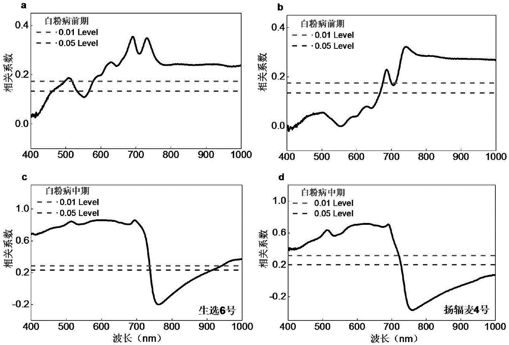 Method for structuring wheat blumeriagraminis speer early detection model by extracting sensitive parameters on basis of subwindow permutation analysis