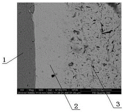 Functional coating of pure silver layer/pure-graphite composite layer and preparation method of functional coating