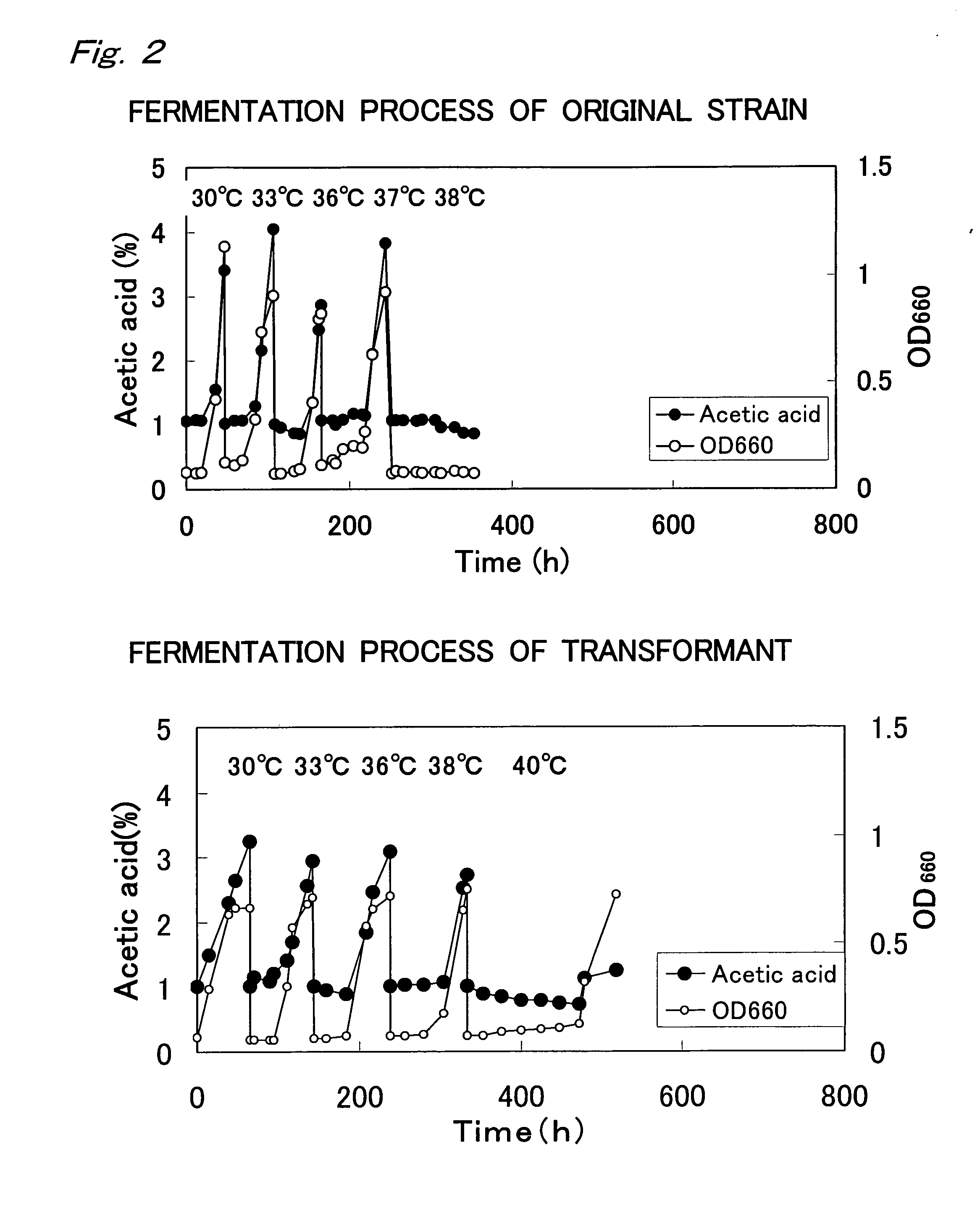 Gene improving temperature-tolerance of acetic acid bacterium, acetic acid bacterium bred using the gene and process for producing vinegar using the acetic acid bacterium