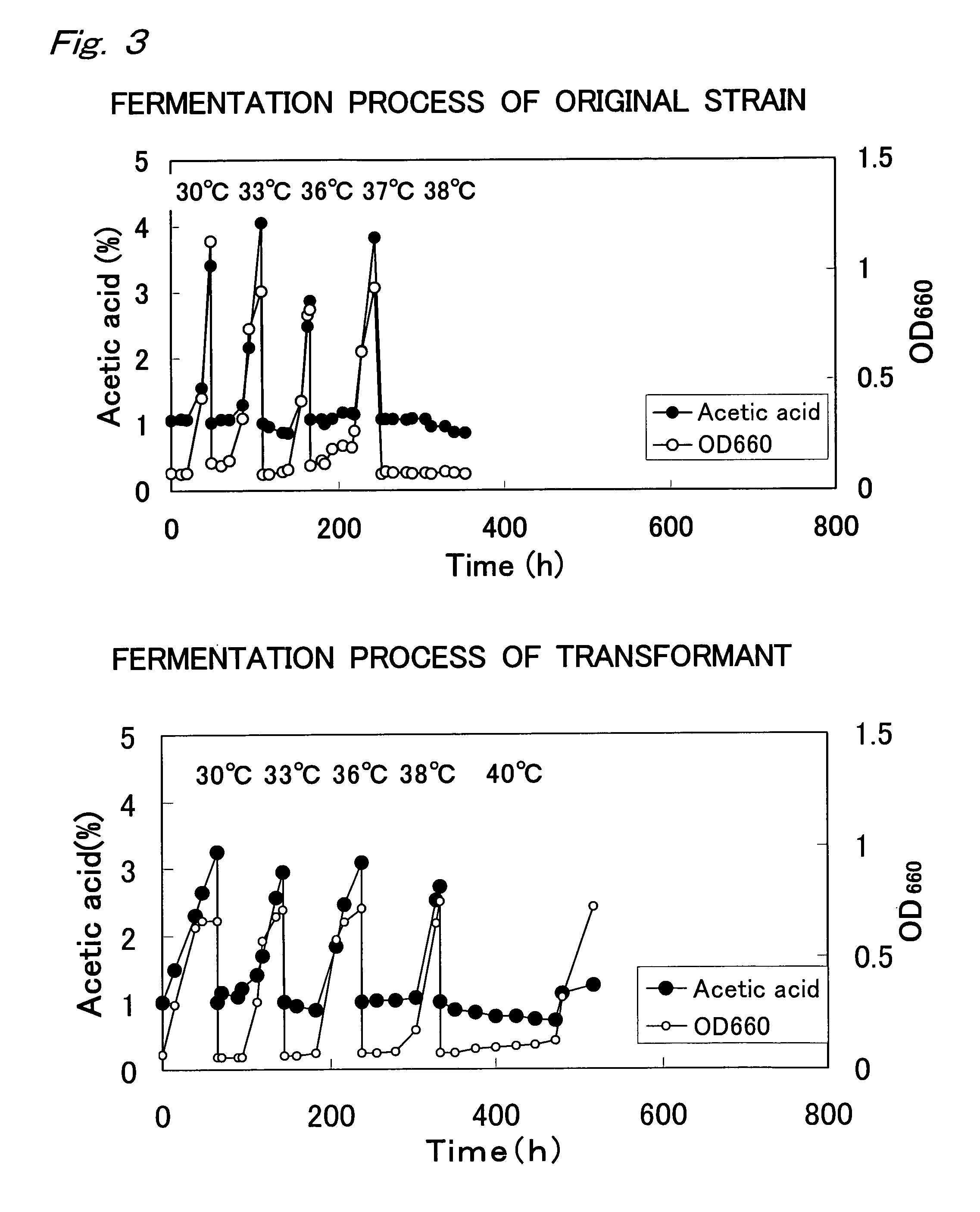 Gene improving temperature-tolerance of acetic acid bacterium, acetic acid bacterium bred using the gene and process for producing vinegar using the acetic acid bacterium