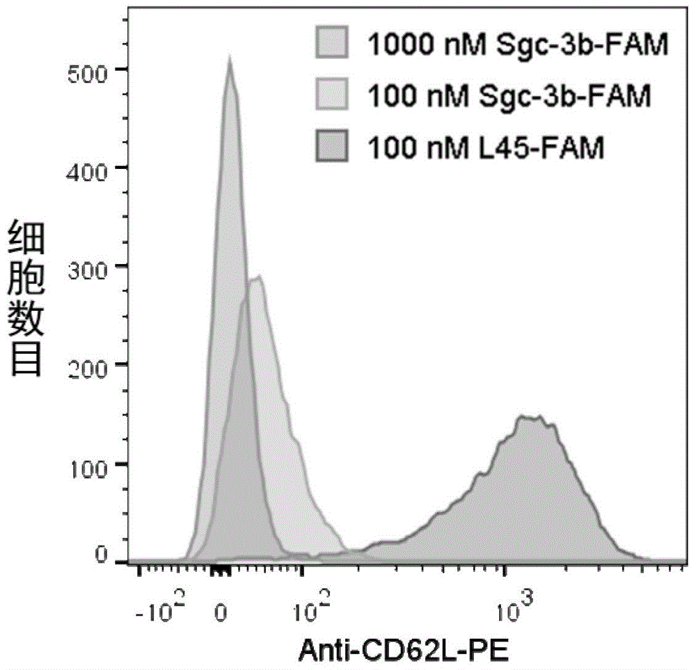 Application of aptamer in recognition of L selectin and combination with L selectin