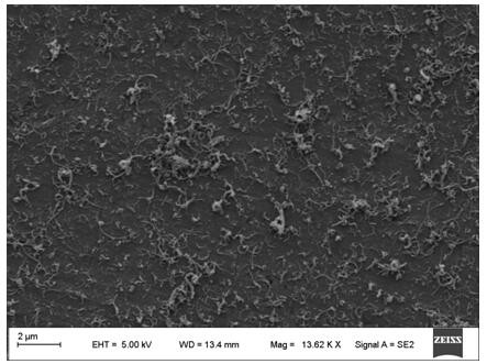 Preparation and application of a functional multi-walled carbon nanotube chiral composite material