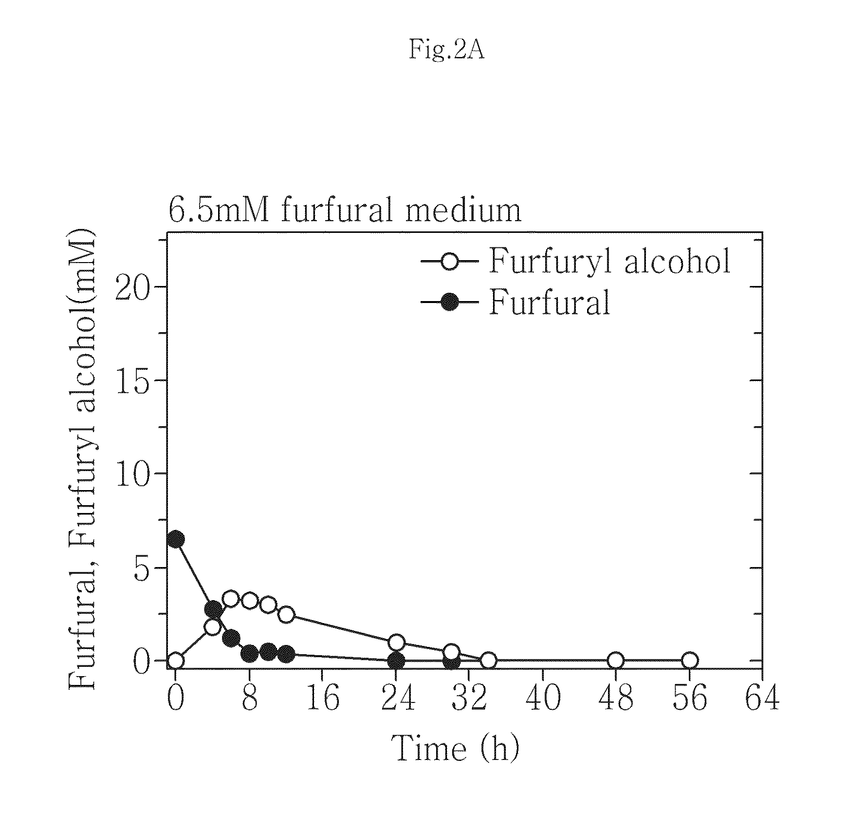 Furfural-resistant gene and furfural-resistant strains comprising the same