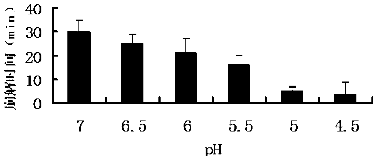 Fentanyl double-layer buccal tablet and preparation method thereof