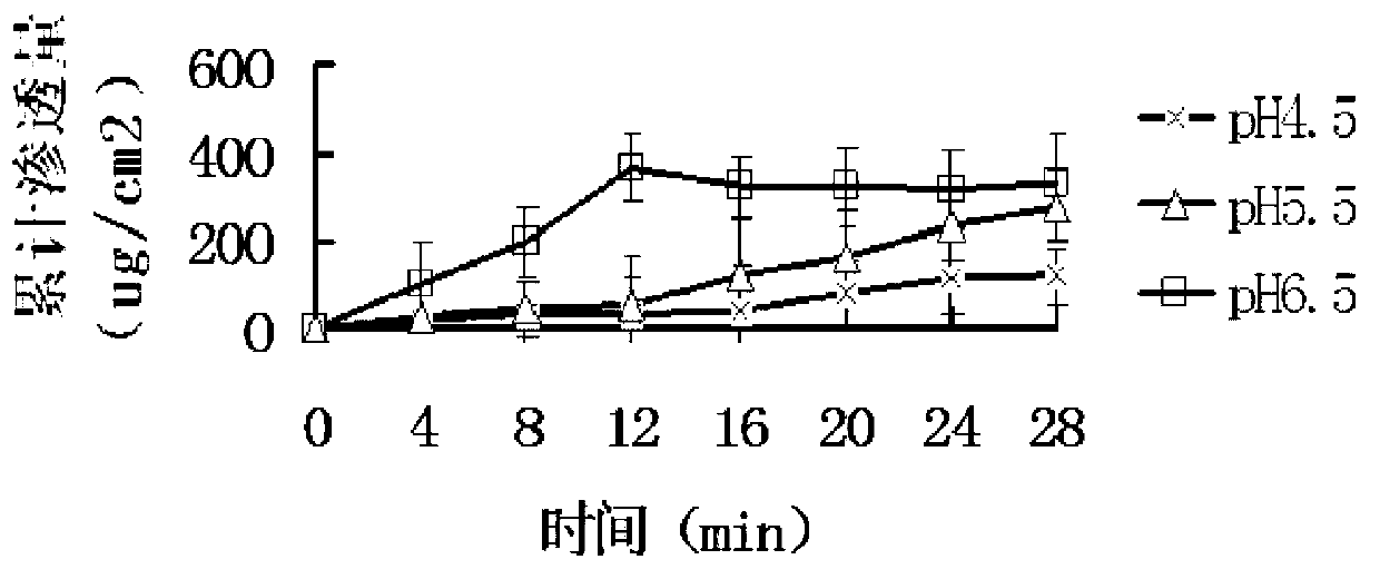 Fentanyl double-layer buccal tablet and preparation method thereof