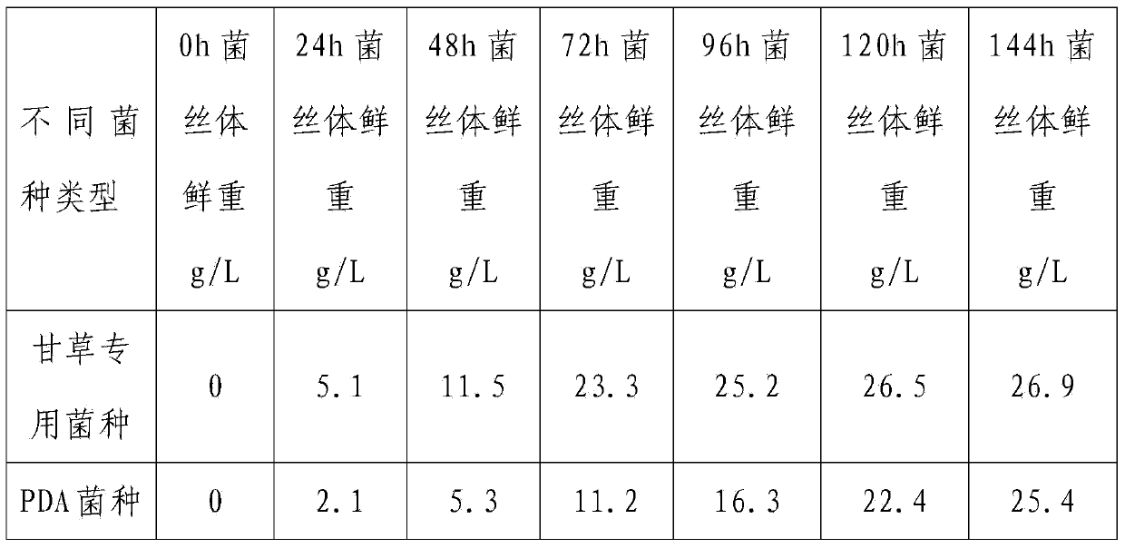 Hericium erinaceus liquid fermented beverage and preparation method thereof