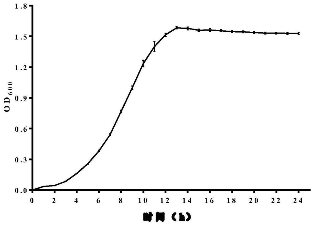 Probiotic tablet capable of controlling weight and preparation method of probiotic tablet