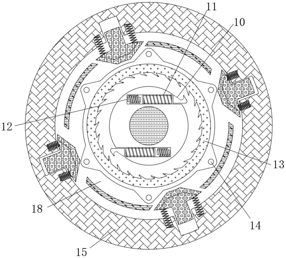 Bark prevention device for grafting seedlings of camellia oleifera