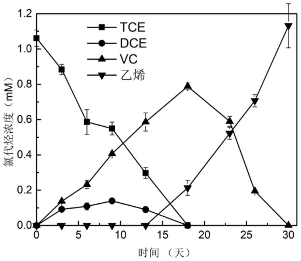 Preparation method and application of hydrochloric ether anaerobic degradation microbial inoculum