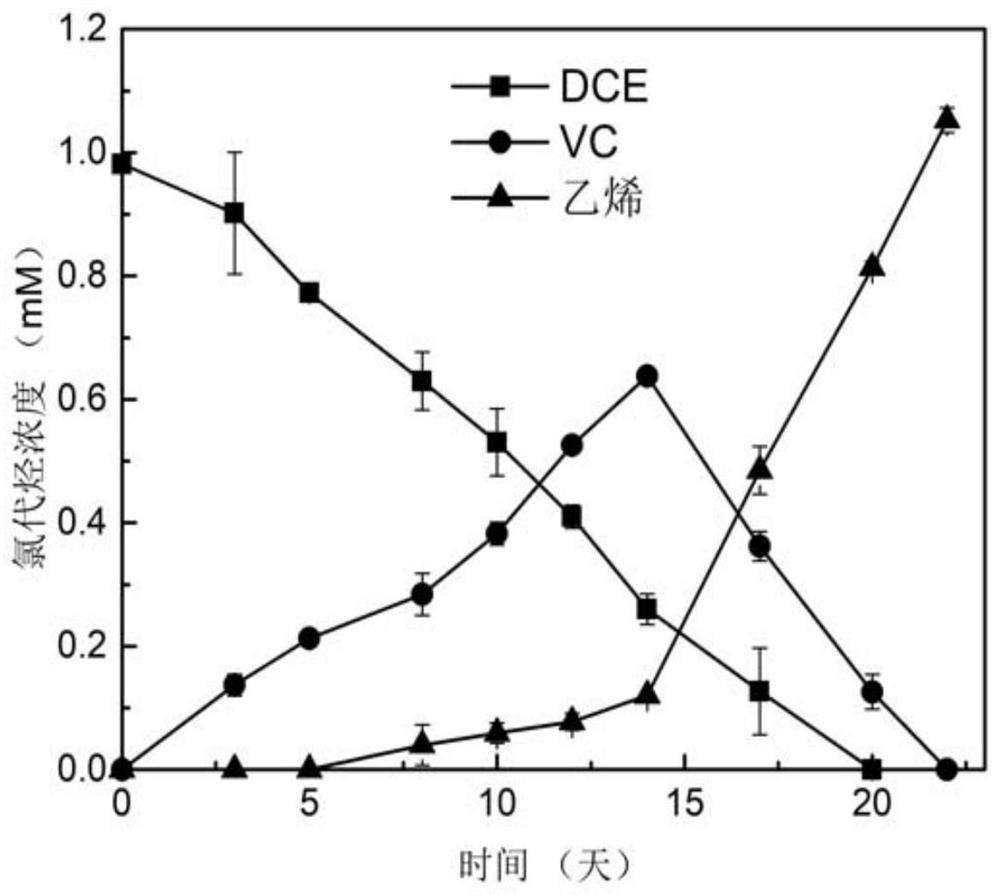 Preparation method and application of hydrochloric ether anaerobic degradation microbial inoculum