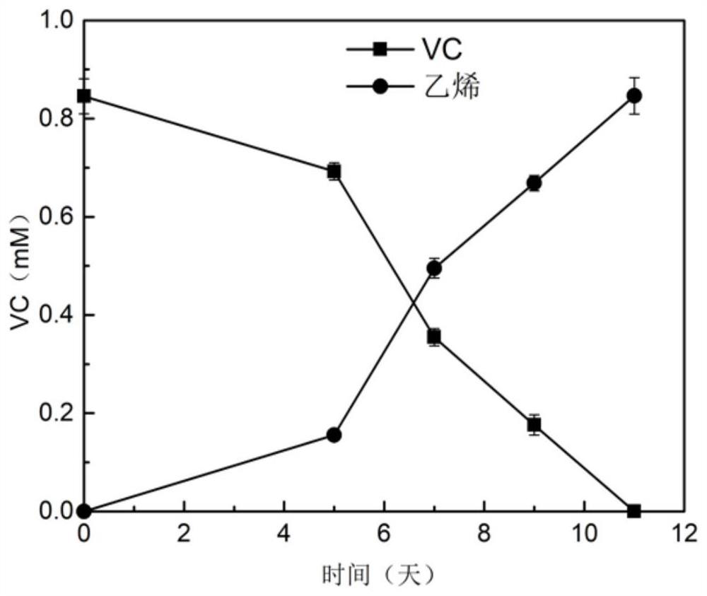 Preparation method and application of hydrochloric ether anaerobic degradation microbial inoculum