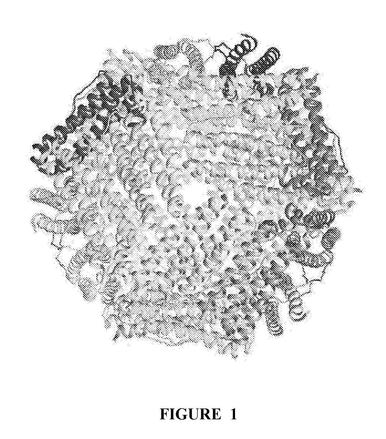 Nsp10 self-assembling fusion proteins for vaccines, therapeutics, diagnostics and other nanomaterial applications