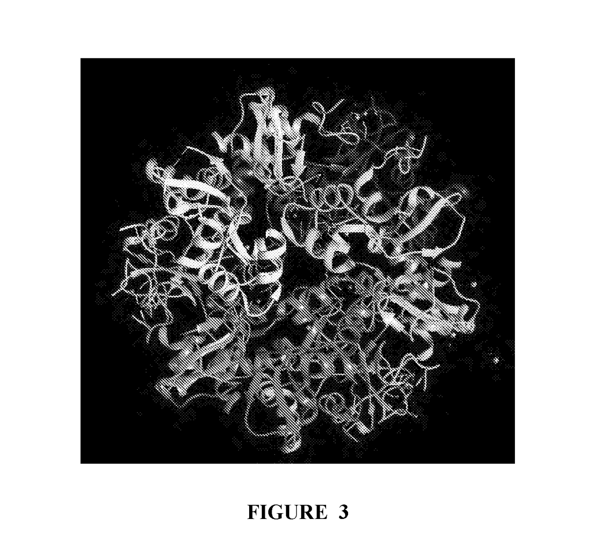 Nsp10 self-assembling fusion proteins for vaccines, therapeutics, diagnostics and other nanomaterial applications