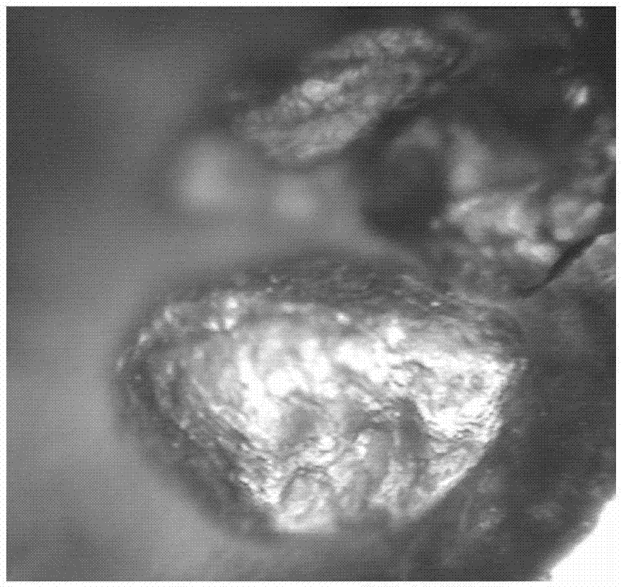 Instant curing rice with enriched nutrient and preparation method thereof