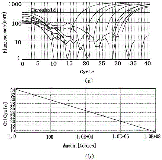 Fluorescent quantitative PCR detection kit and detection method for shrimp infectious myonecrosis virus