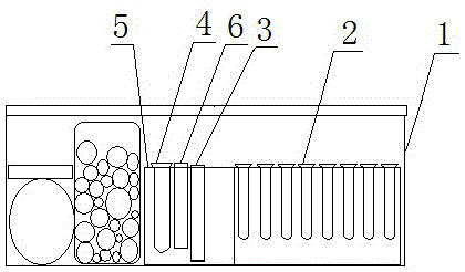 Fluorescent quantitative PCR detection kit and detection method for shrimp infectious myonecrosis virus