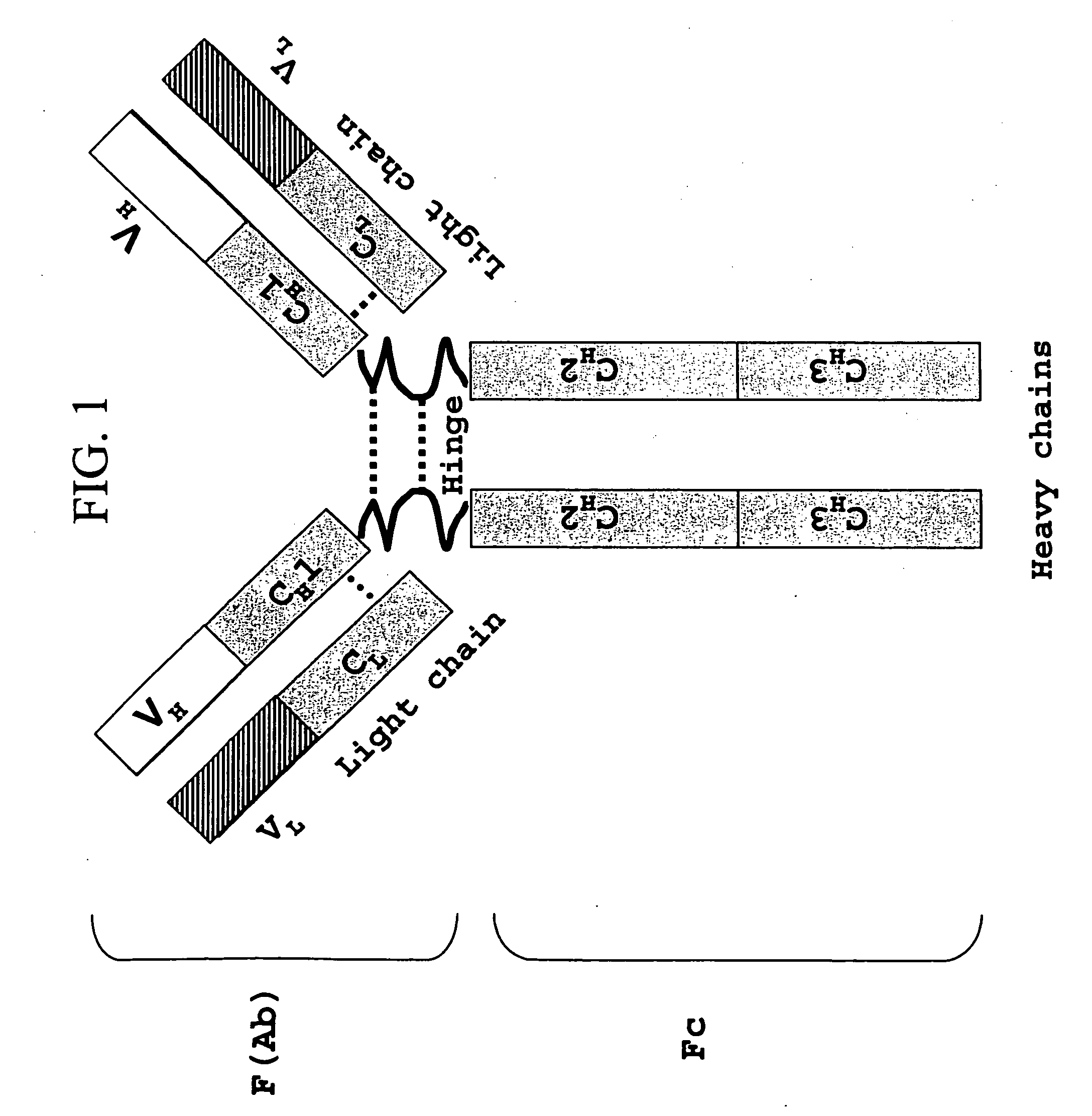 Recombinant production of mixtures of antibodies