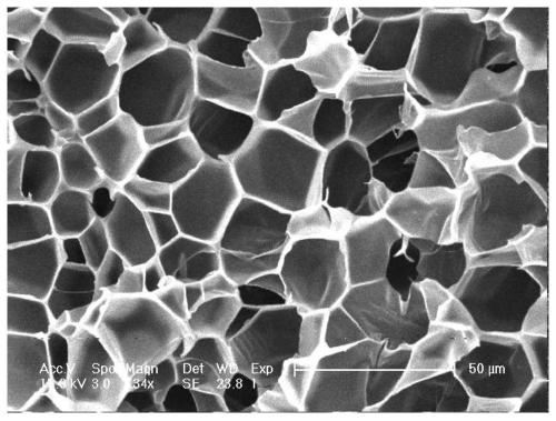 A kind of polyaryletherketone foam material containing phthalein side group and preparation method thereof