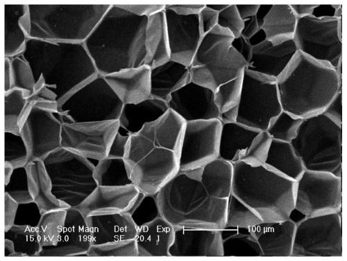 A kind of polyaryletherketone foam material containing phthalein side group and preparation method thereof