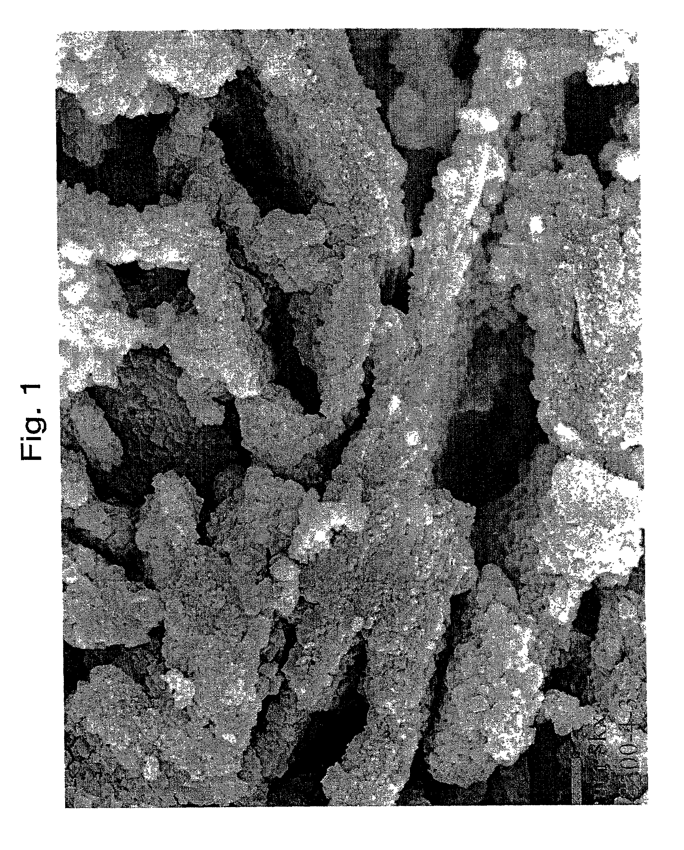 Method of enhancing the activity of FCC catalysts