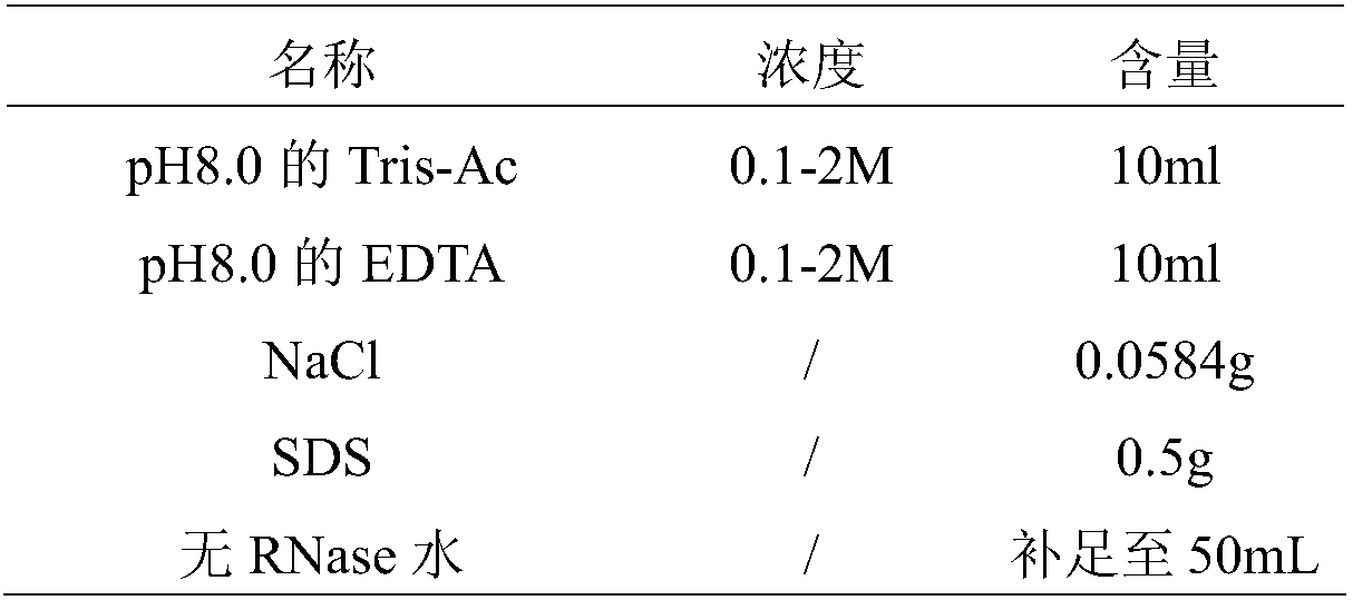 Detection primer group, kits and detection method for porcine reproductive and respiratory syndrome virus fluorescent EMA