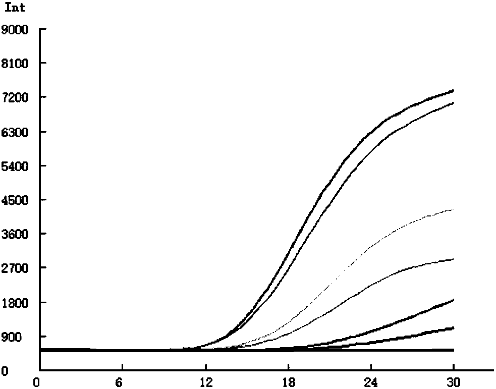 Detection primer group, kits and detection method for porcine reproductive and respiratory syndrome virus fluorescent EMA