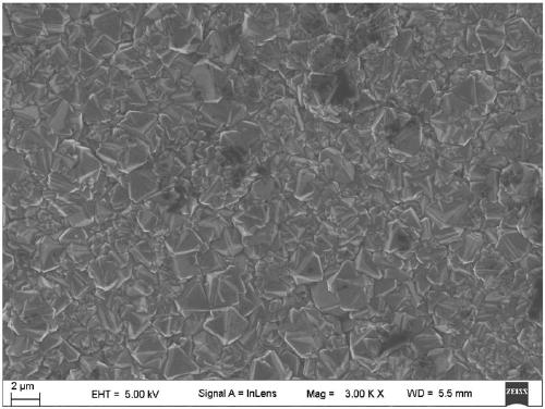 Boron doped diamond electrode and preparation method thereof