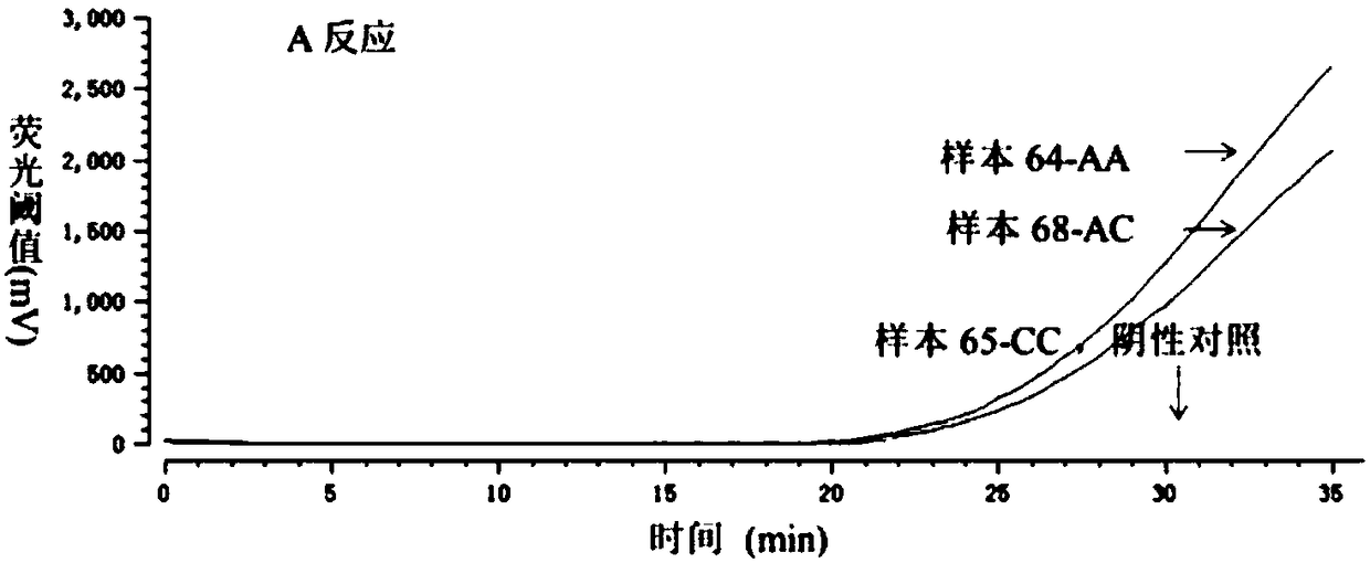 Probe and kit for detecting SNP (Single Nucleotide Polymorphism) site by utilizing recombinase mediated isothermal amplification method based on probe guidance