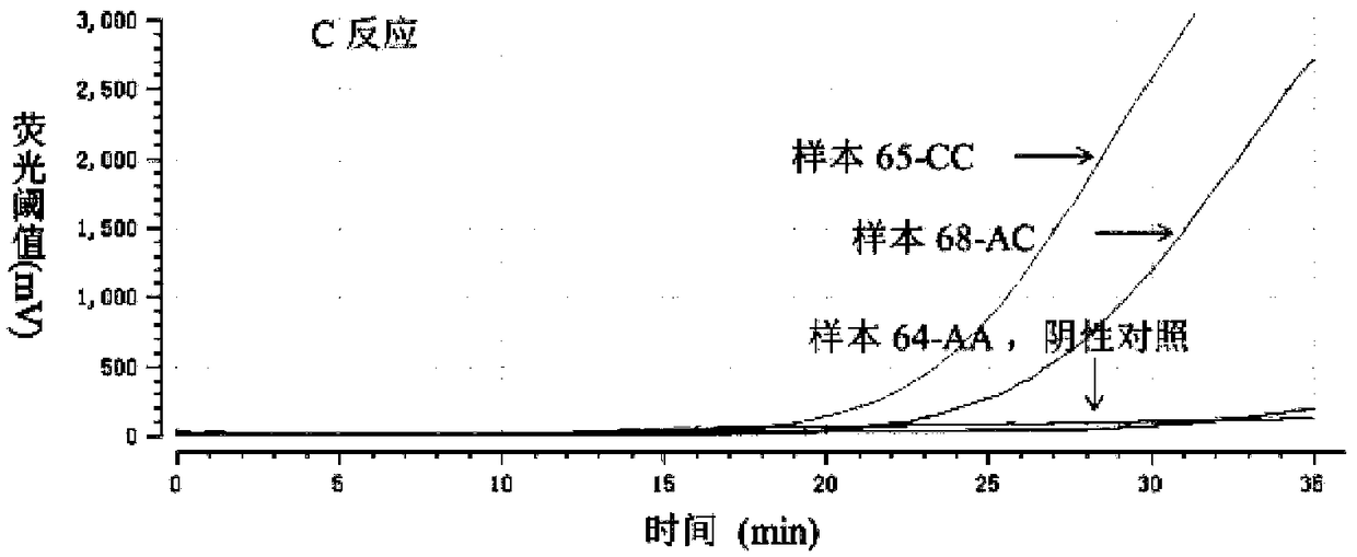 Probe and kit for detecting SNP (Single Nucleotide Polymorphism) site by utilizing recombinase mediated isothermal amplification method based on probe guidance