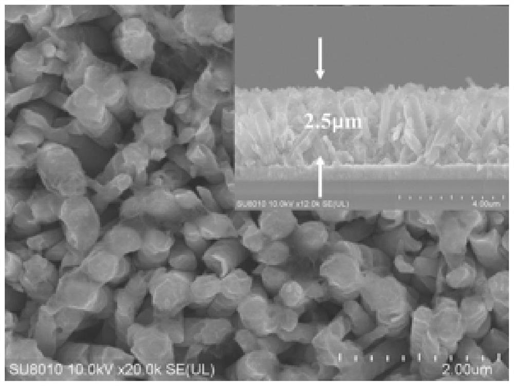 Zinc oxide/zinc sulfide composite film photoelectrode and solar photodeposition precious metal recovery device