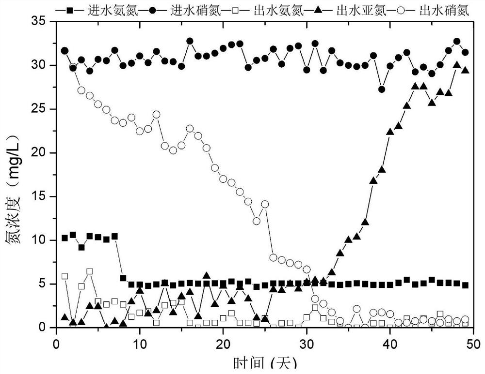 Domestication culture method of sulfur autotrophic short-cut denitrification sludge