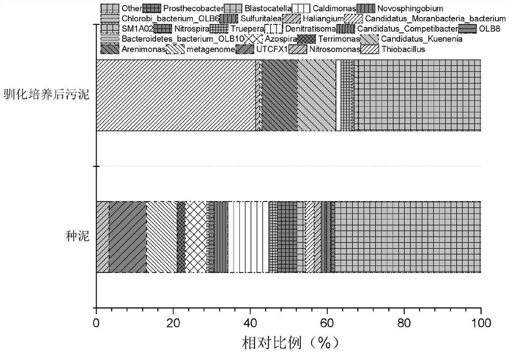 Domestication culture method of sulfur autotrophic short-cut denitrification sludge